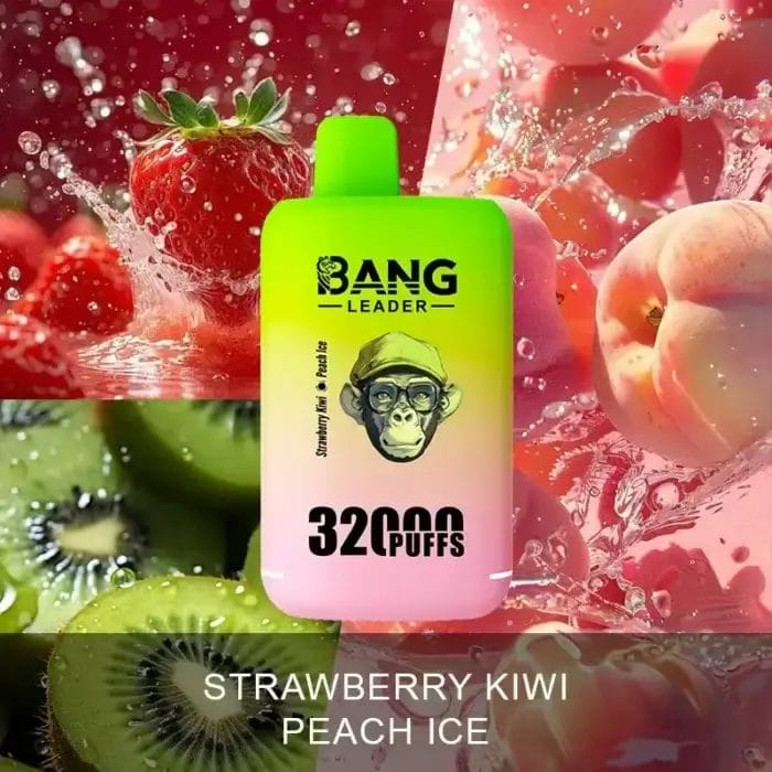 Bang Leader 32000 32K Puffs Dual Flavor Einweg-E-Zigarette Dual Mesh Original – Bild 11