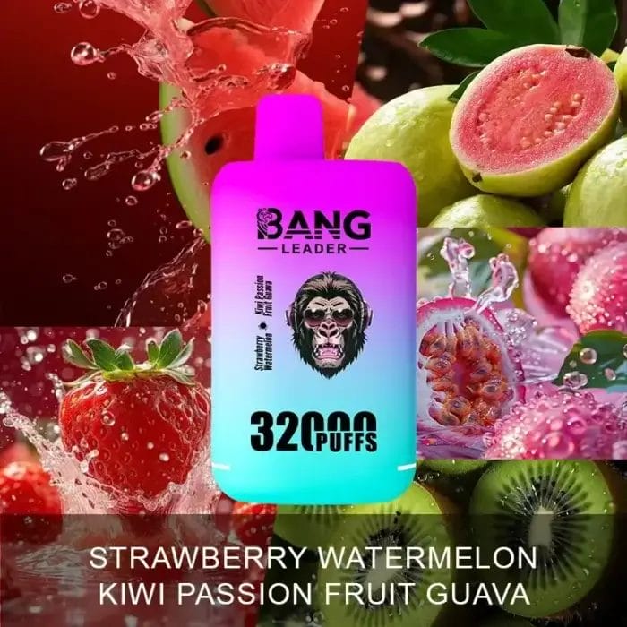 Bang Leader 32000 32K Puffs Dual Flavor Einweg-E-Zigarette Dual Mesh Original – Bild 10