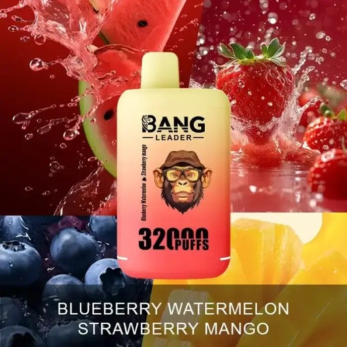 Bang Leader 32000 32K Puffs Dual Flavor Einweg-E-Zigarette Dual Mesh Original – Bild 6
