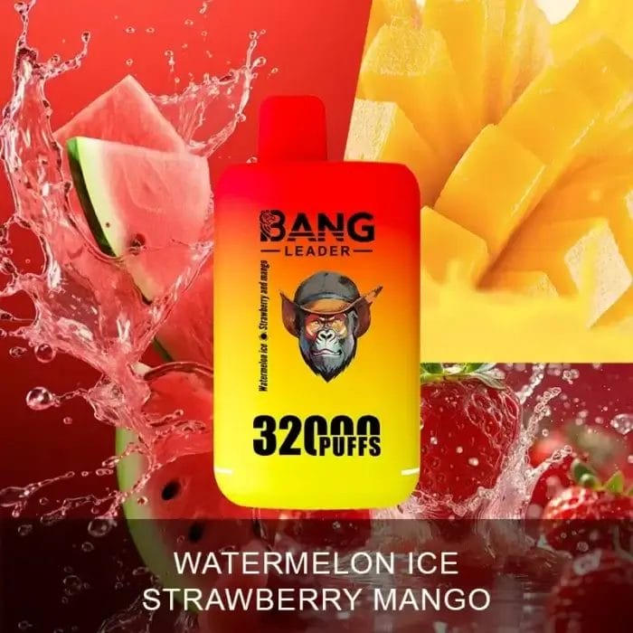 Bang Leader 32000 32K Puffs Dual Flavor Einweg-E-Zigarette Dual Mesh Original – Bild 7