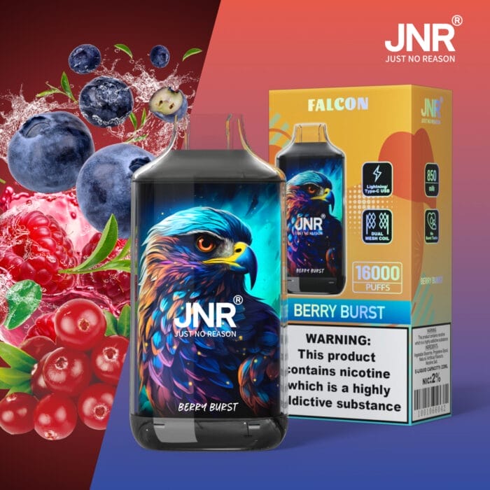 JNR FALCON 16000 Puffs 22ml Einweg-E-Zigaretten Dual Charging Ports Original – Bild 11