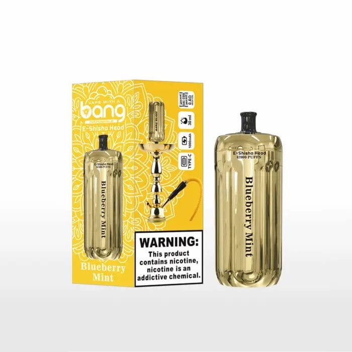 Bang Blaze 42000 42K Puffs Shisha Head 30ml Einweg-E-Zigarette Original – Bild 12