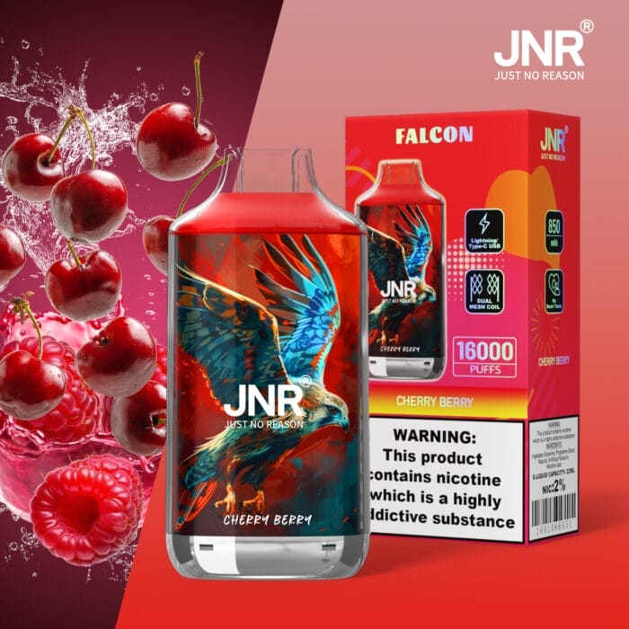 JNR FALCON 16000 Puffs 22ml Einweg-E-Zigaretten Dual Charging Ports Original – Bild 6