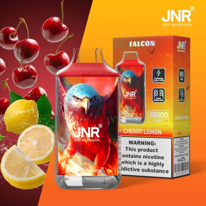 JNR FALCON 16000 Puffs 22ml Einweg-E-Zigaretten Dual Charging Ports Original – Bild 5