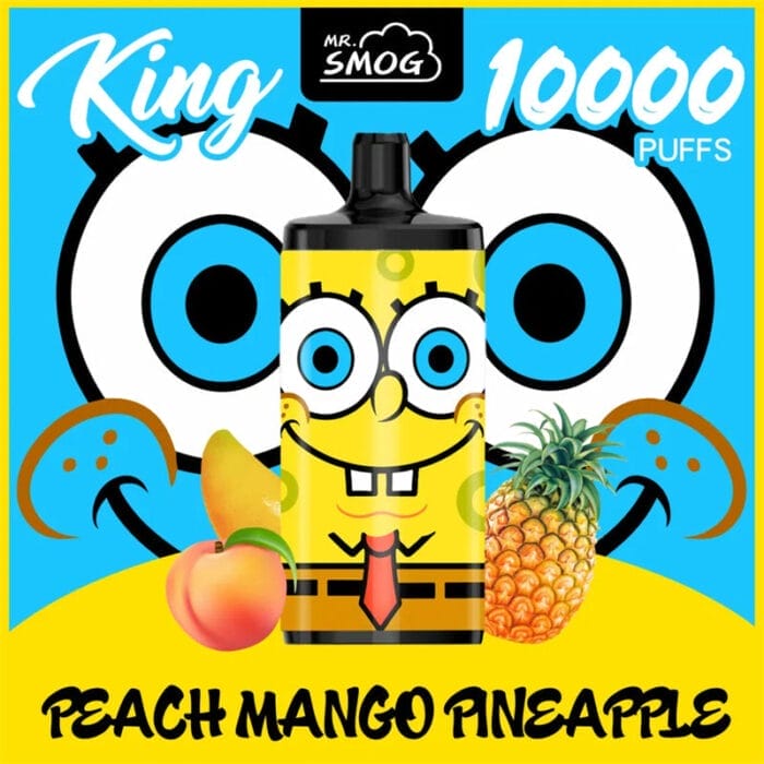 Vapsolo King 10000 Puffs 20mL Einweg-E-Zigarette 650 mAh – Bild 2