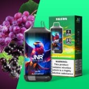 JNR FALCON 16000 Puffs 22ml Einweg-E-Zigaretten Dual Charging Ports Original – Bild 3