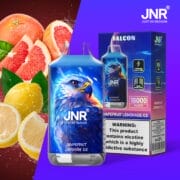 JNR FALCON 16000 Puffs 22ml Einweg-E-Zigaretten Dual Charging Ports Original – Bild 2