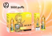 UZY Vaper 9000 9K Puffs 18ml Einweg-E-Zigaretten Original – Bild 5