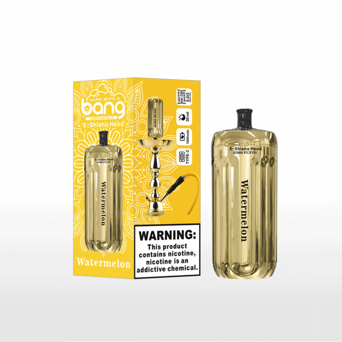 Bang Blaze 42000 42K Puffs Shisha Head 30ml Einweg-E-Zigarette Original – Bild 2