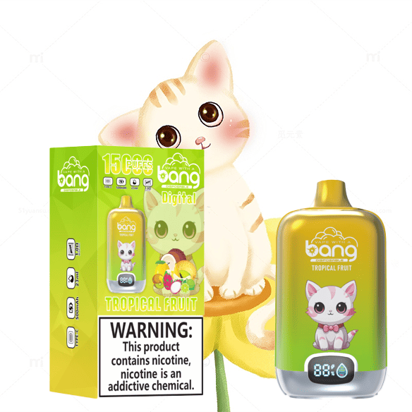 13.png.webp