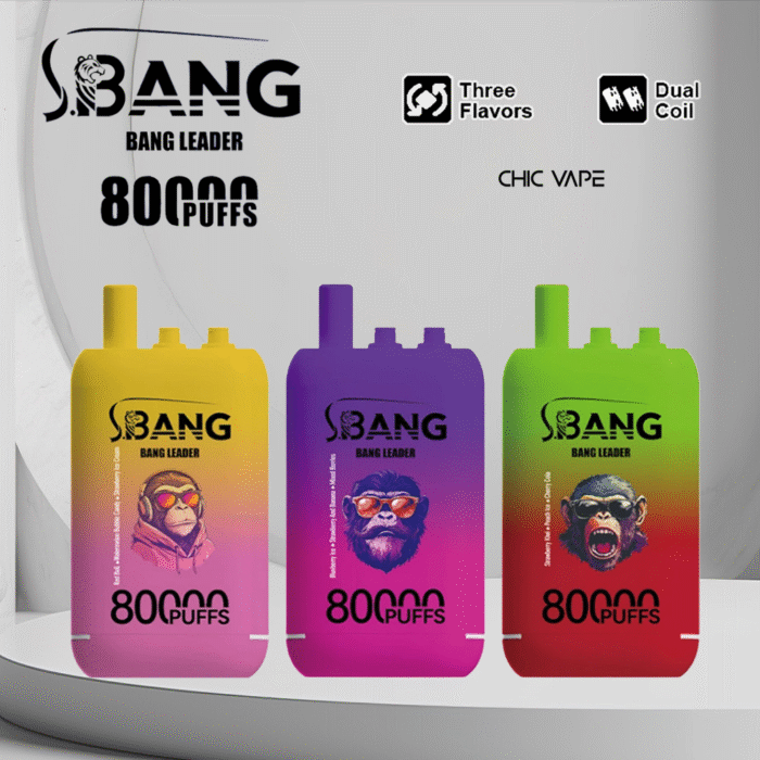 Bang Leader 80000 80k Puffs 78ml Einweg-E-Zigarette Original – Bild 1