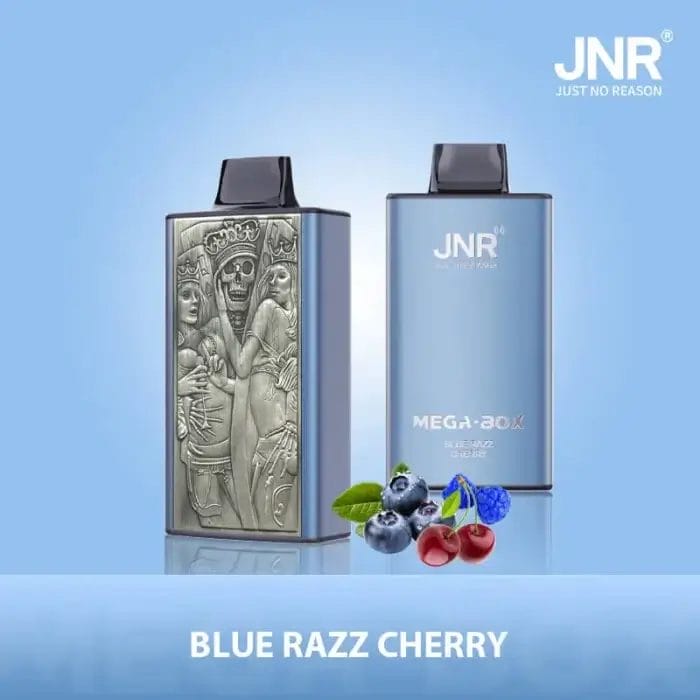 JNR Mega Box 25000 25K Puffs 30ml Einweg-E-Zigaretten Dual Mesh Coil Original – Bild 13