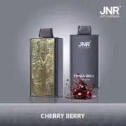 JNR Mega Box 25000 25K Puffs 30ml Einweg-E-Zigaretten Dual Mesh Coil Original – Bild 11
