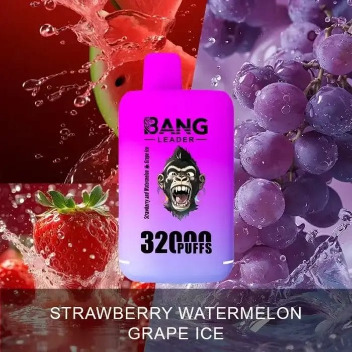 Bang Leader 32000 32K Puffs Dual Flavor Einweg-E-Zigarette Dual Mesh Original – Bild 2